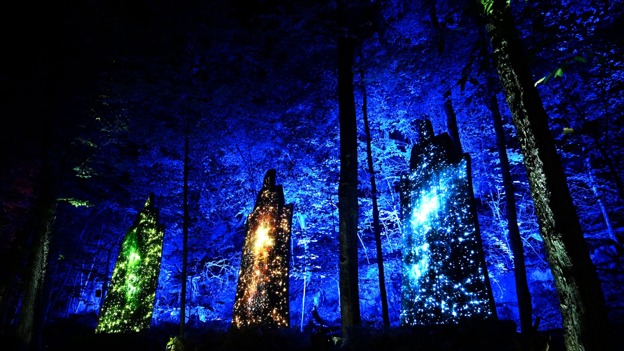 Tonga Lumina | An experience created by Moment Factory